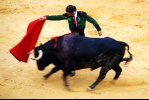 Tarde de Toros 3. Coraje